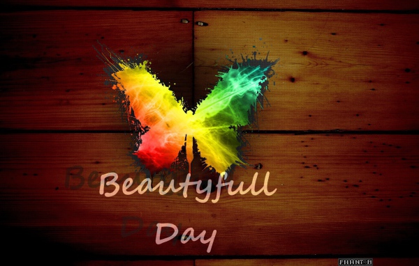 Радужная бабочка, прекрасный день