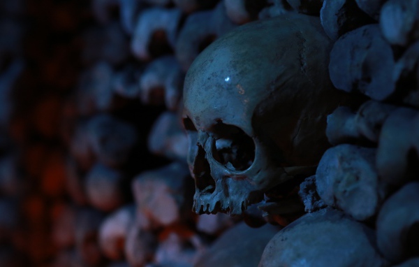 Череп среди костей в склепе