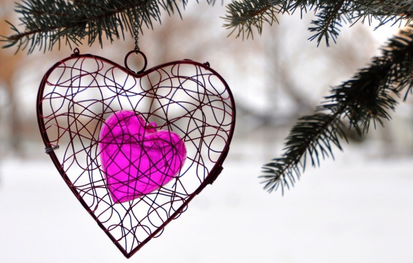 Украшение в виде сердца висит на ветке ели