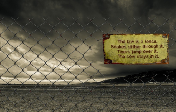 Надпись на заборе из сетки