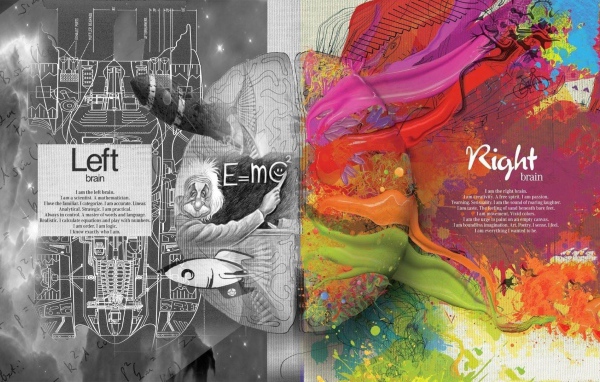 Левое и правое полушария мозга