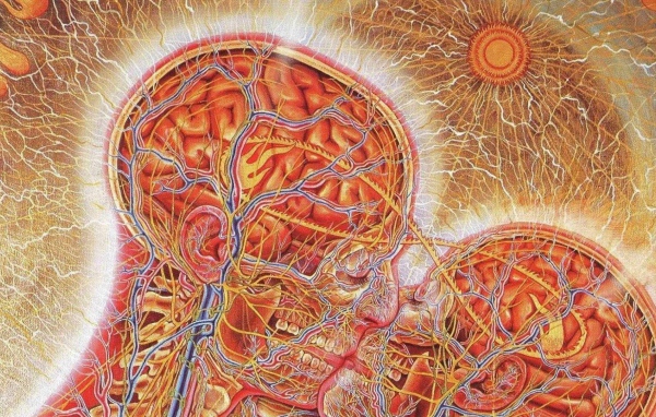 Настоящая химия любви