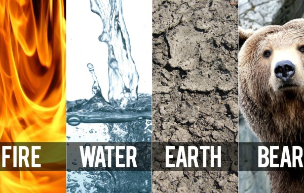 Три стихии и медведь