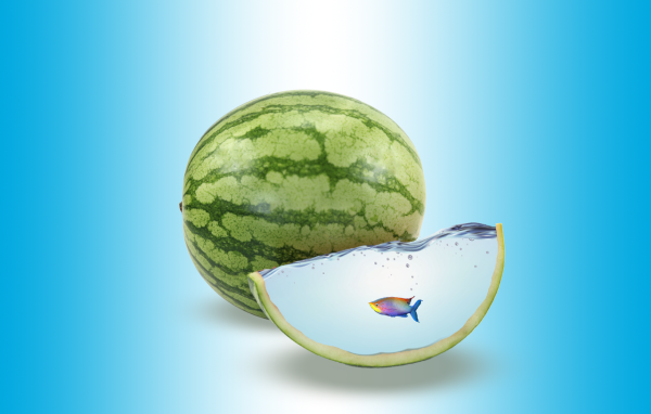 Арбуз как аквариум