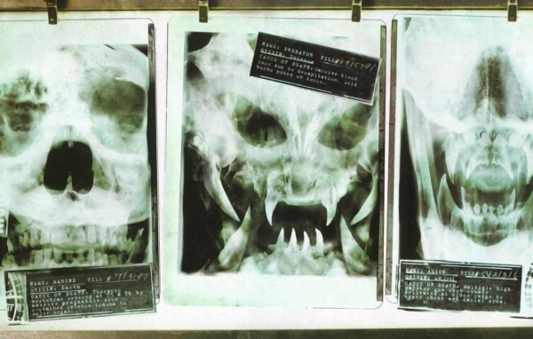 Рентгеновские снимки опасных созданий