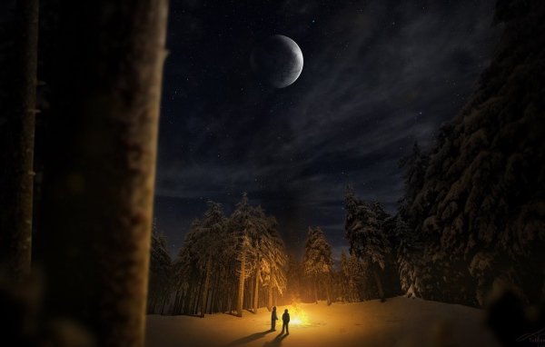 Костер в лесной чаще