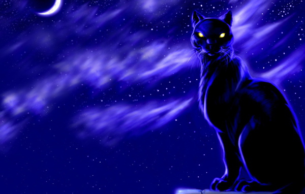 Черный кот лунной ночью