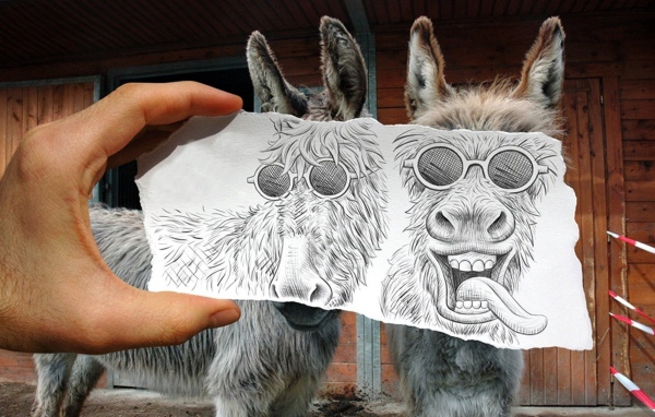 Рисунок поверх фото ослов