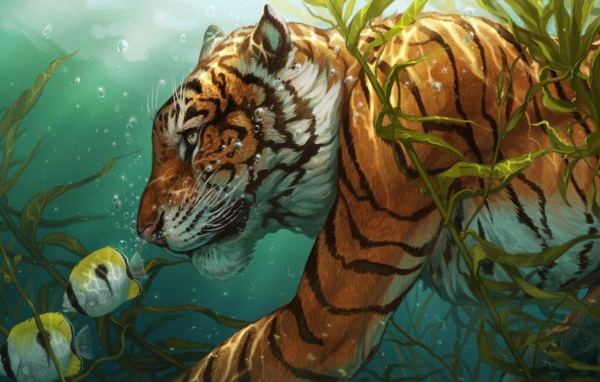 Тигр охотится на рыб