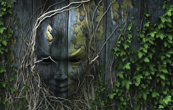 Лицо на деревянном заборе, увитое плющом