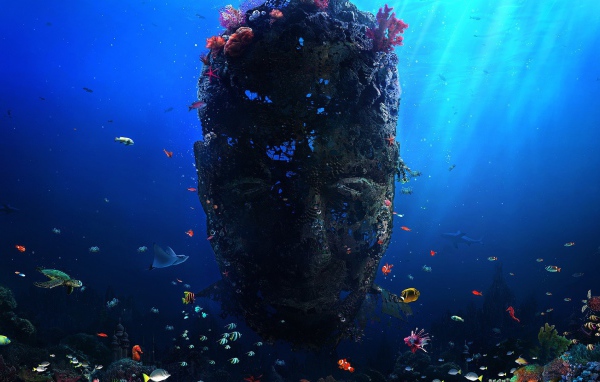 Лицо из кораллов под водой