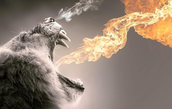Пламя из пасти мохнатого животного