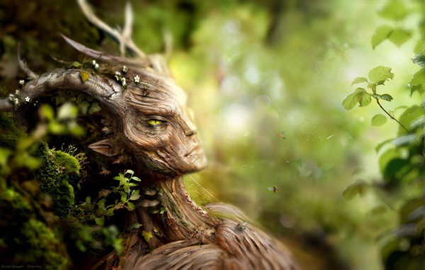 Лесная фея из дерева