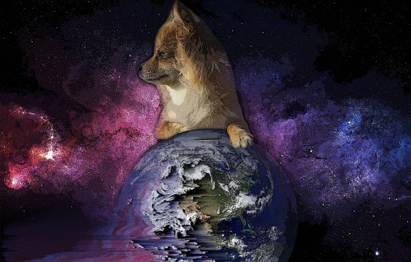 Лиса положила лапку на Землю