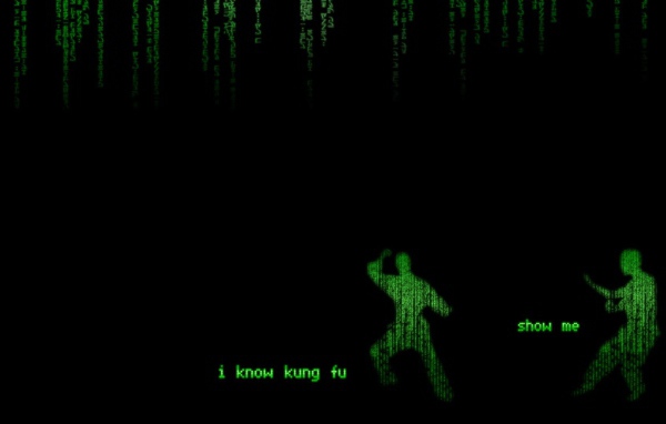 Кунг-фу в Матрице