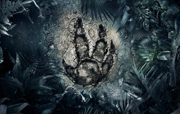 След загадочного зверя