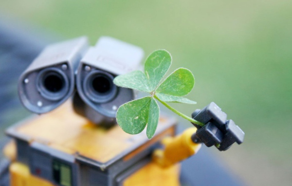 Робот Валли подает зеленый росток