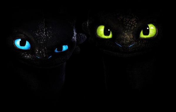 Два малыша черного дракона