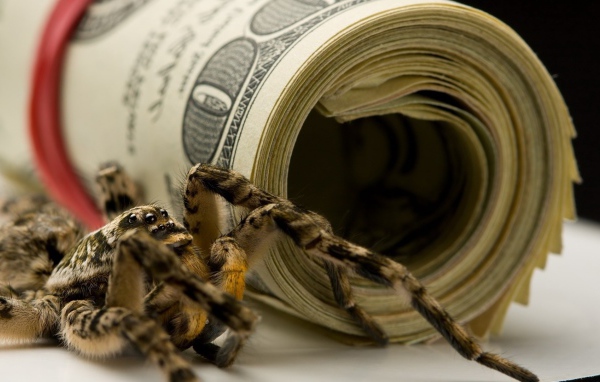 Паук и пачки долларов