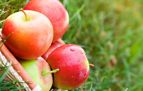 Яблоки лежат на траве