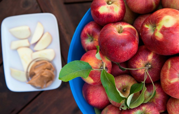 Миска со спелыми красными яблоками