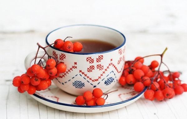 Согревающий отвар рябины