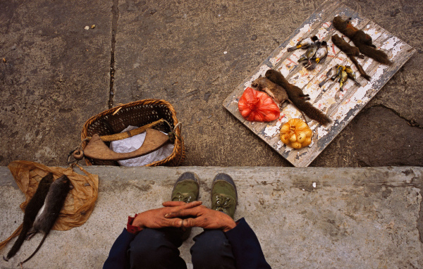 Торговля деликатесами