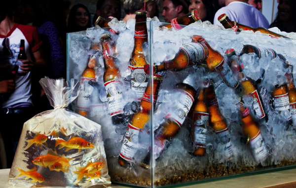 Бутылки в аквариуме