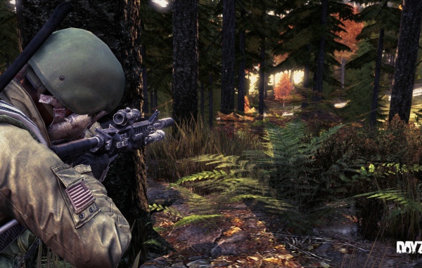 Солдат в лесу, игра DayZ