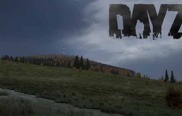 Компьютерная игра DayZ
