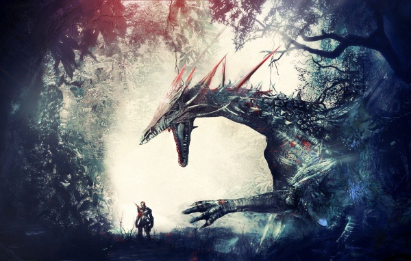 Дракон и воин в игре Dragon Age Origins