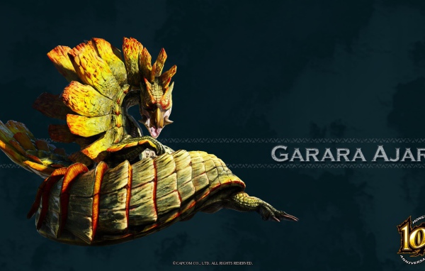 Гарара Аджара из игры Monster Hunter