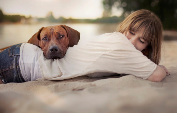 Собака положила голову на спину девушки