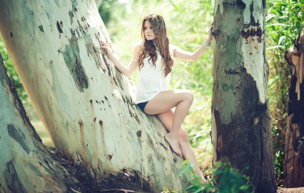 Девушка сидит на дереве