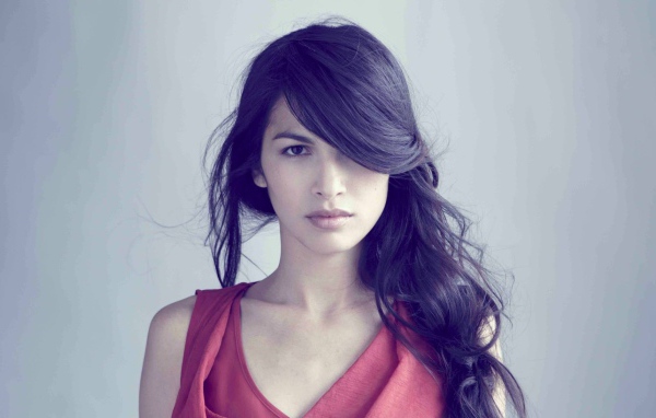 Модель Элоида Янг