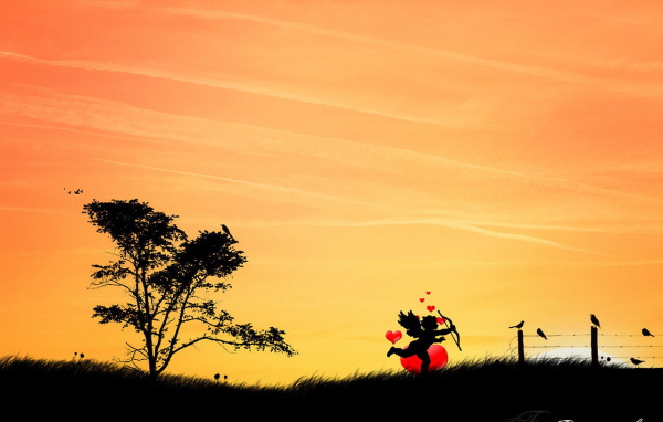 Амур и птицы