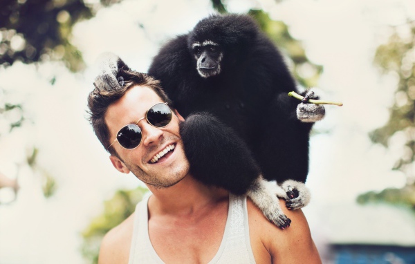 Monkey on the shoulder of the man