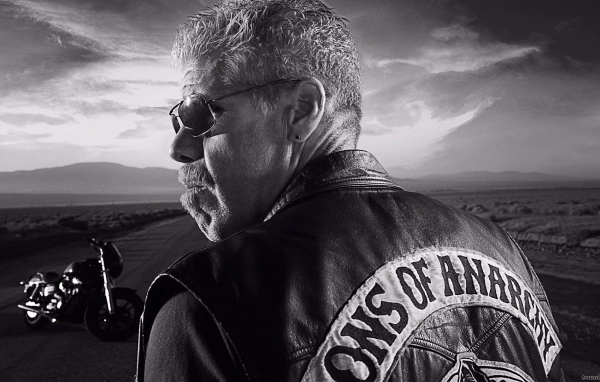 Байкер на дороге, Сыны анархии