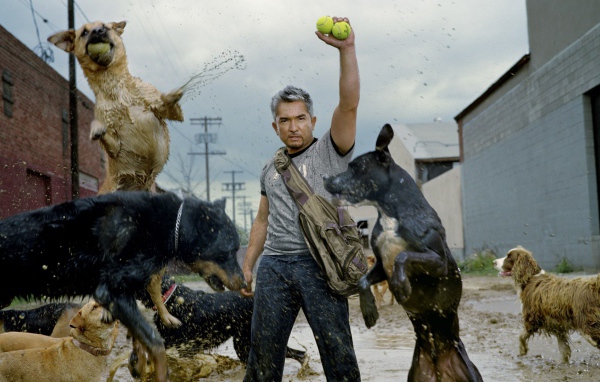 Фильм Переводчик с собачьего