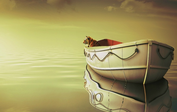 Кадр из фильма Жизнь Пи