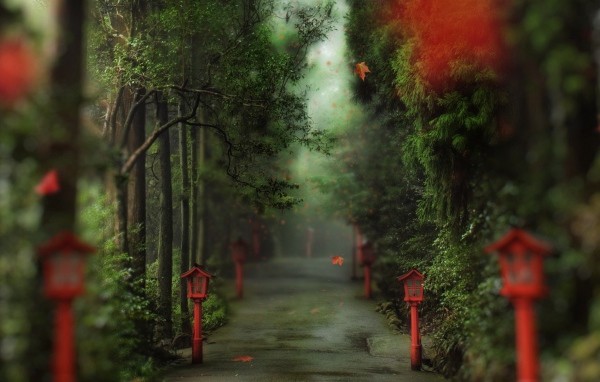 Аллея в парке с фонарями