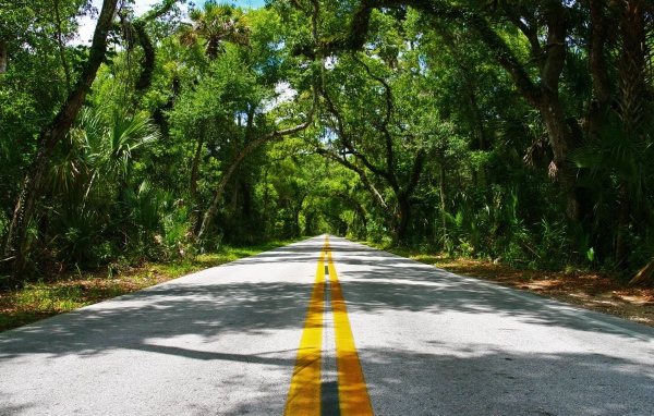 Красивая дорога в тропиках