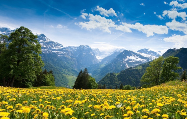 Красота украинских Карпат