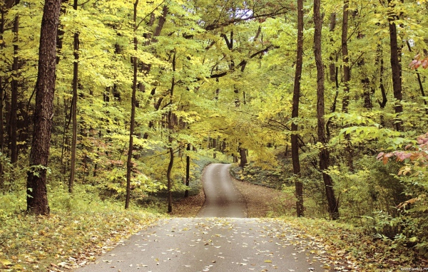 Велосипедная дорожка в осеннем парке