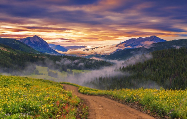 Облака опустились к вершинам деревьев