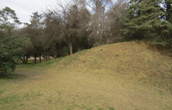 Холм с деревьями в парке