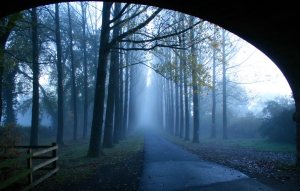 Туманная аллея у моста