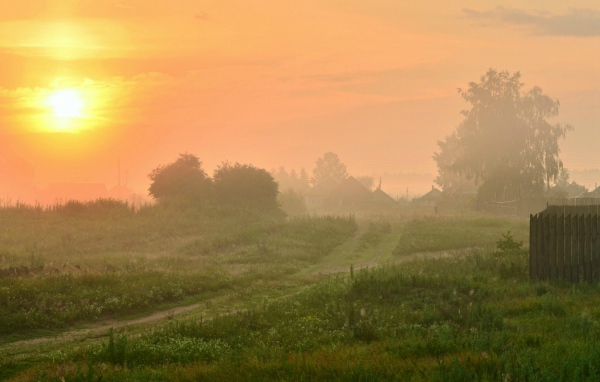 Туманный рассвет в деревне