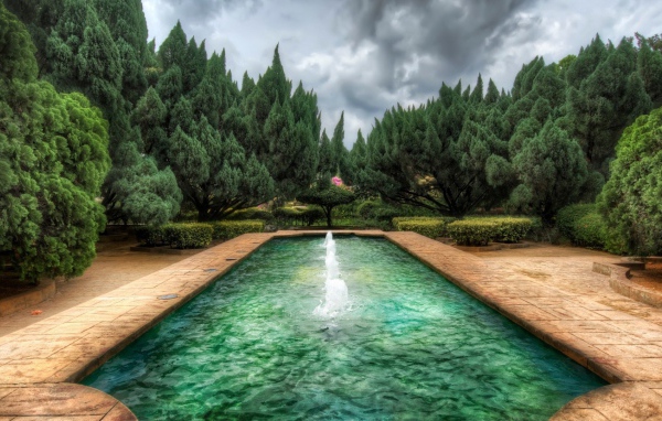 Пруд с фонтанами в саду