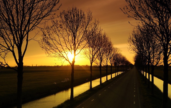 Дорога с каналами по краям